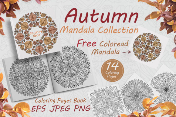 Download Autumn Mandalas Drawn from Leaves - Mandala Collection